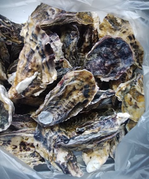 f:id:mee30:20210309195901j:plain