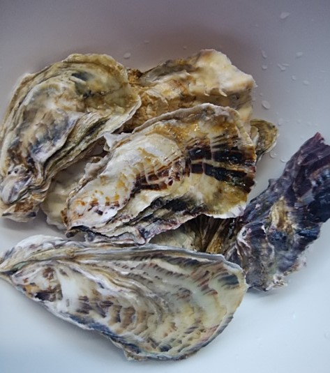 f:id:mee30:20210309195913j:plain