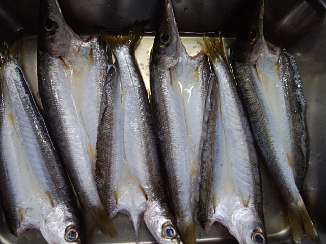 f:id:mee30:20210309195925j:plain