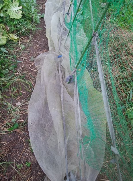 f:id:mee30:20210824192520j:plain