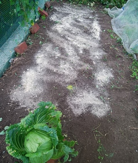 f:id:mee30:20210824192551j:plain