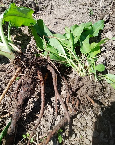 f:id:mee30:20210925195906j:plain