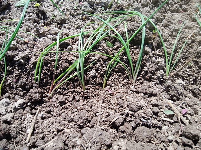 f:id:mee30:20210925195935j:plain