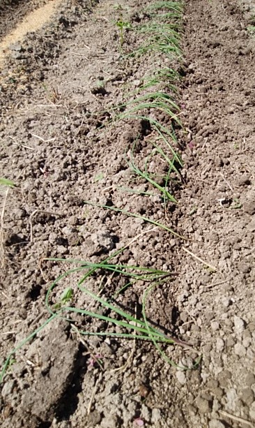 f:id:mee30:20210925195953j:plain