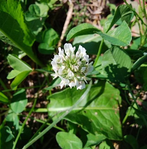 f:id:mee30:20210925200007j:plain