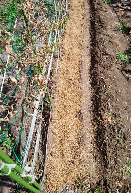 f:id:mee30:20211105192248j:plain