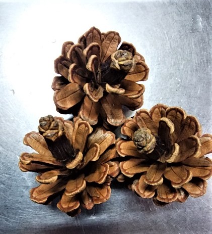 f:id:mee30:20211117193043j:plain