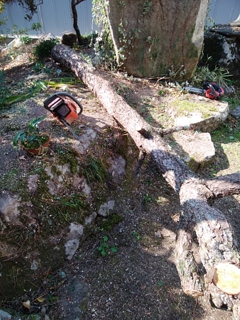 f:id:mee30:20211117193116j:plain