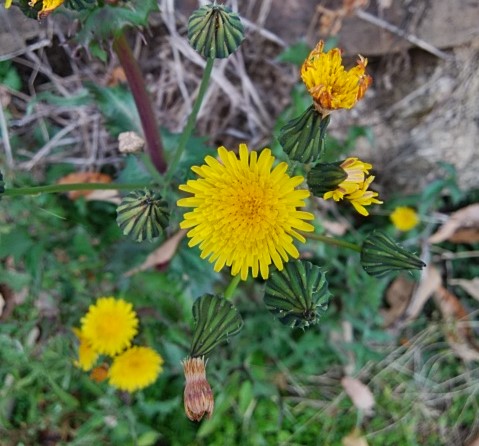 f:id:mee30:20211217193201j:plain