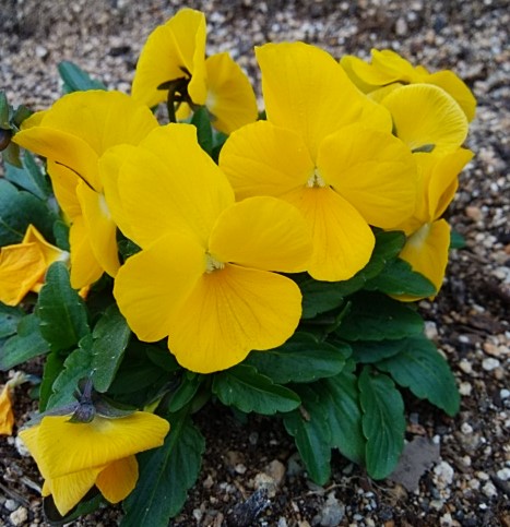 f:id:mee30:20211224194558j:plain