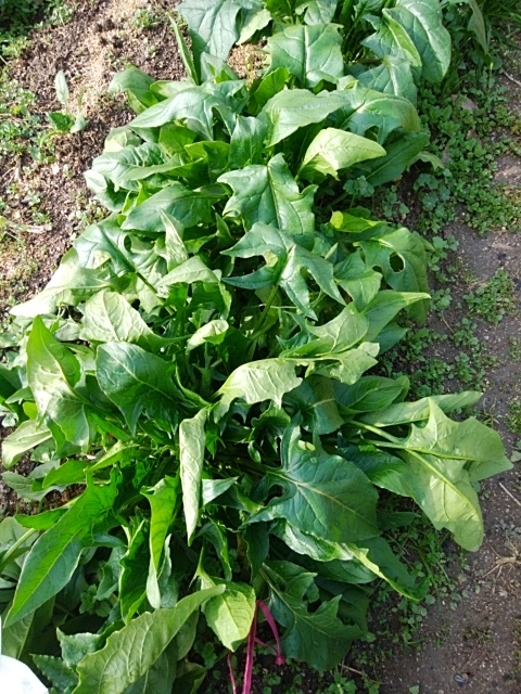 f:id:mee30:20211225193357j:plain