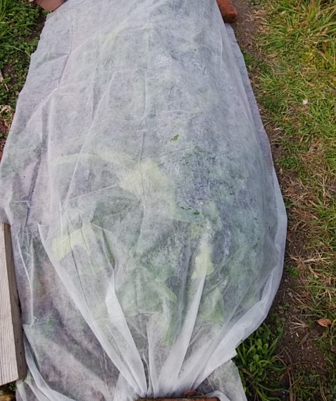 f:id:mee30:20211225193420j:plain