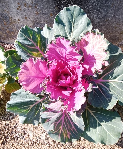 f:id:mee30:20220103195400j:plain