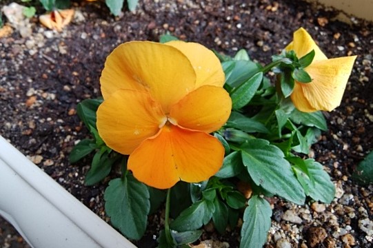 f:id:mee30:20220123193717j:plain