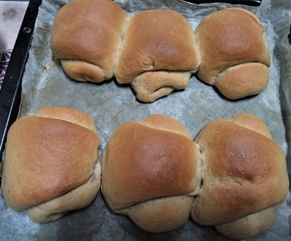 f:id:mee30:20220123193735j:plain