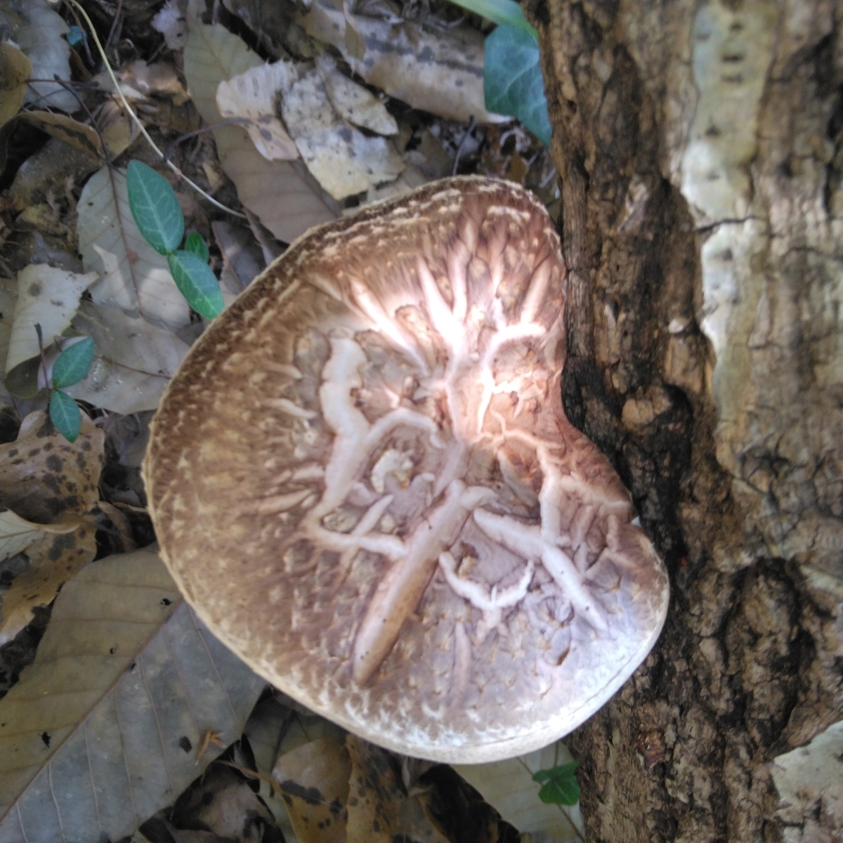 f:id:mee30:20220405193916j:plain