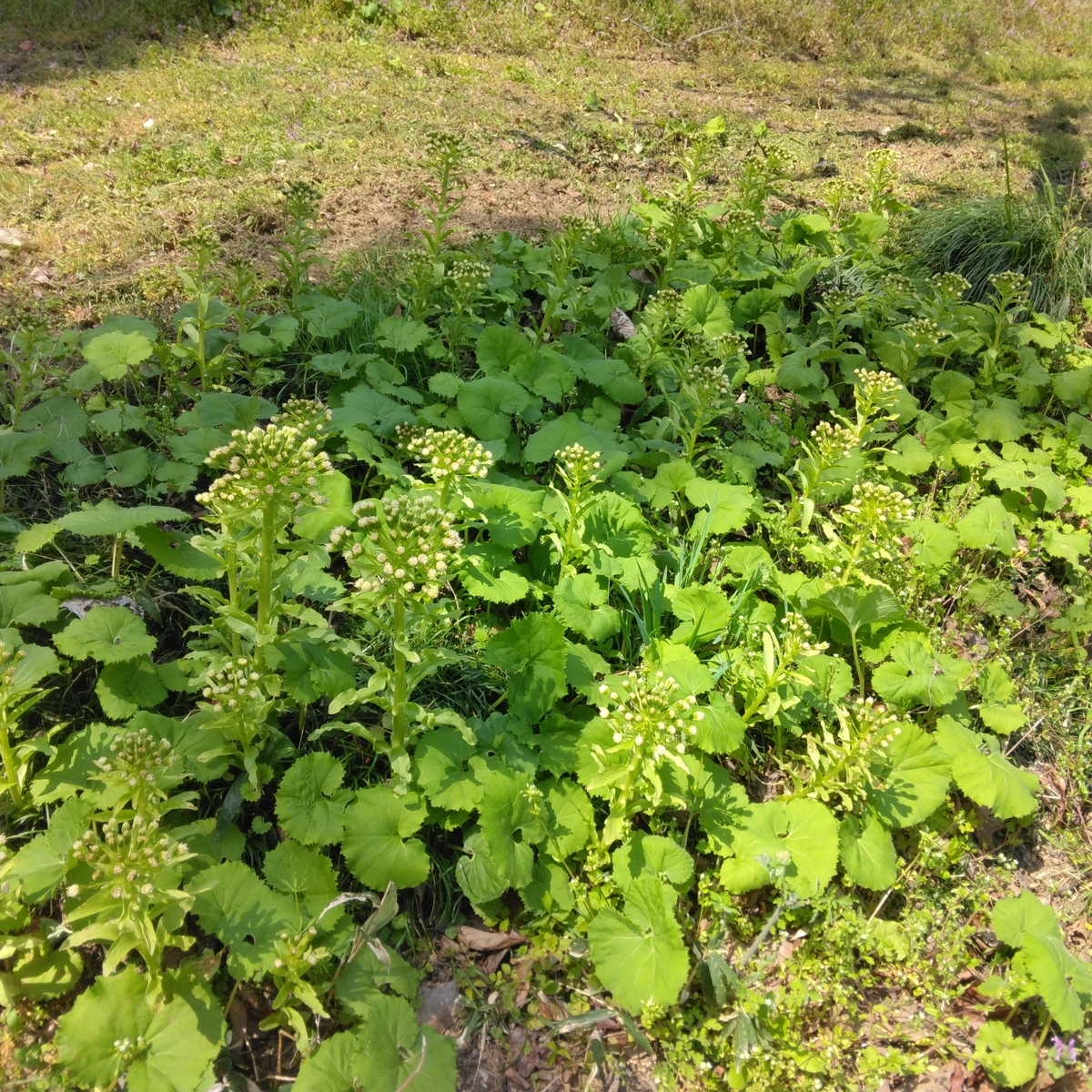 f:id:mee30:20220407193913j:plain