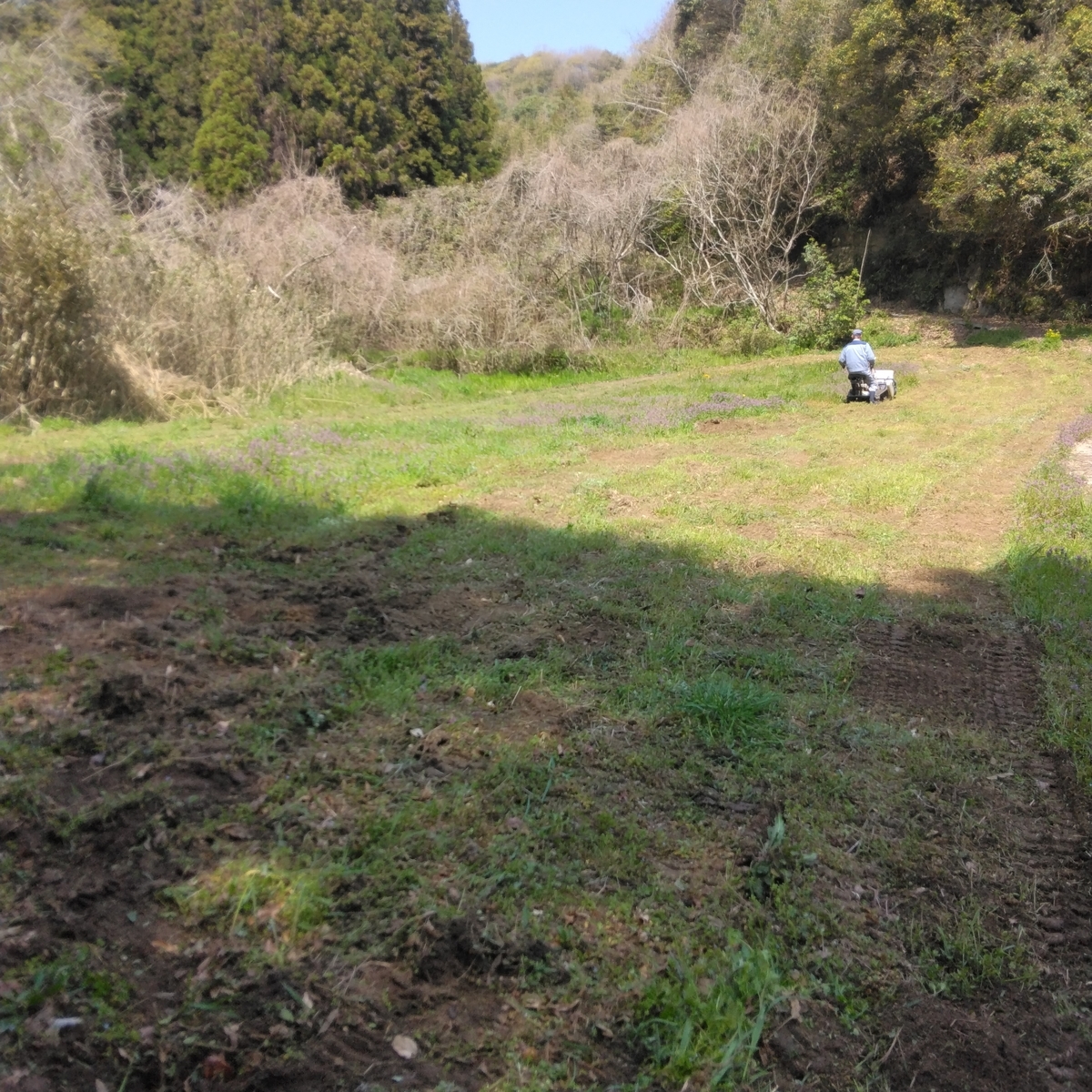 f:id:mee30:20220407193941j:plain