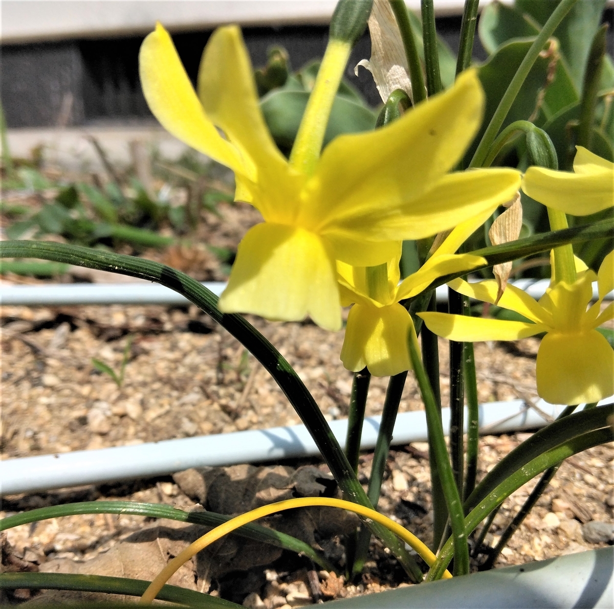 f:id:mee30:20220415195121j:plain