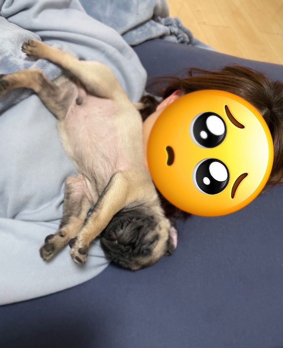 f:id:meeeee313:20211208145644j:plain