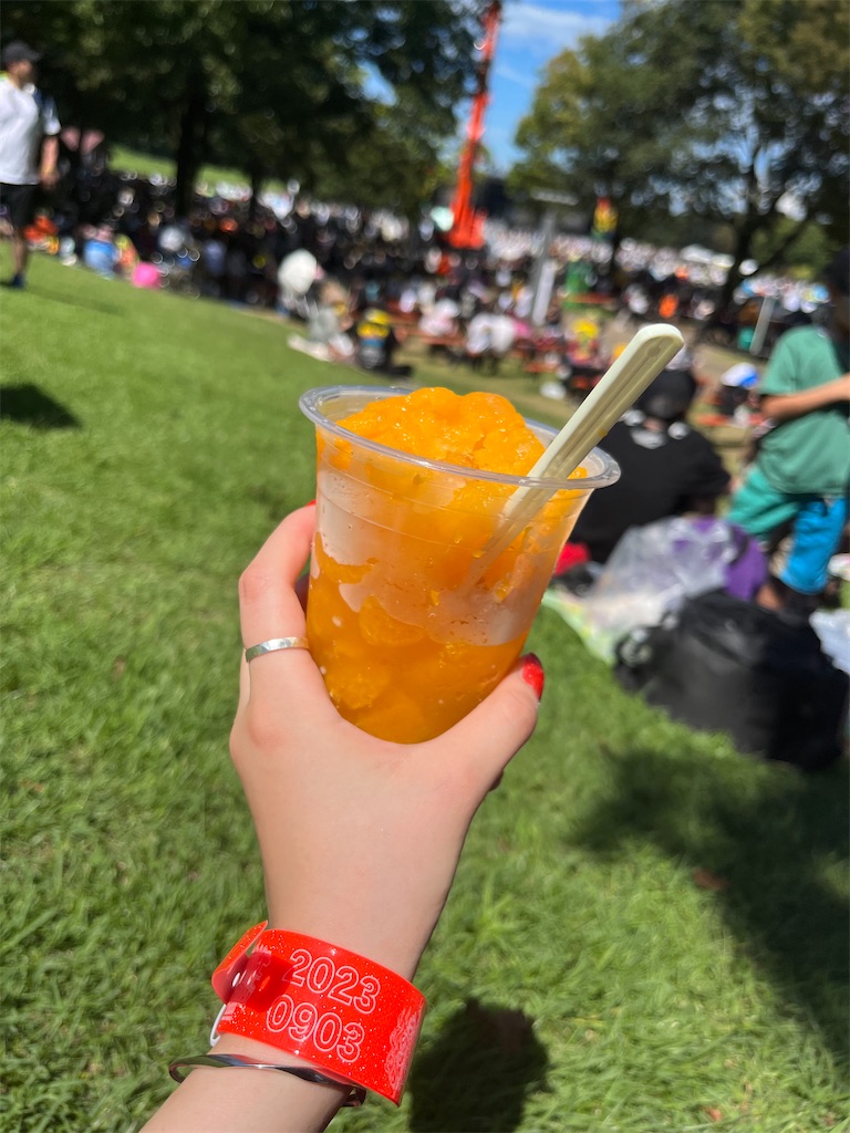 f:id:meeeko607:20230904222717j:image f:id:meeeko607:20230904222717j:image