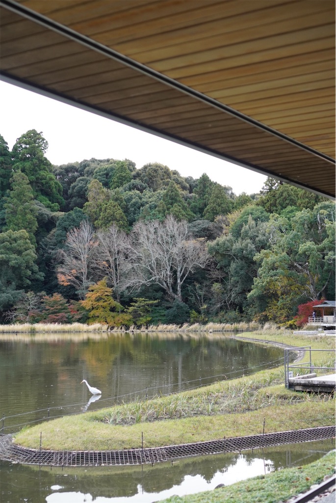 f:id:meeeko607:20240218164134j:image f:id:meeeko607:20240218164134j:image