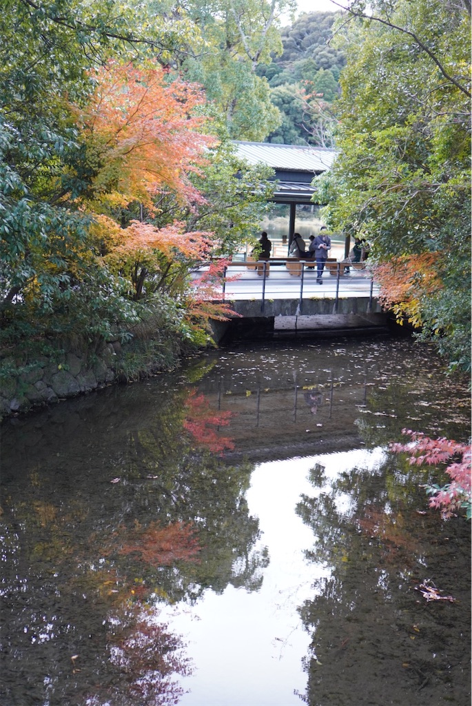 f:id:meeeko607:20240218164152j:image f:id:meeeko607:20240218164152j:image