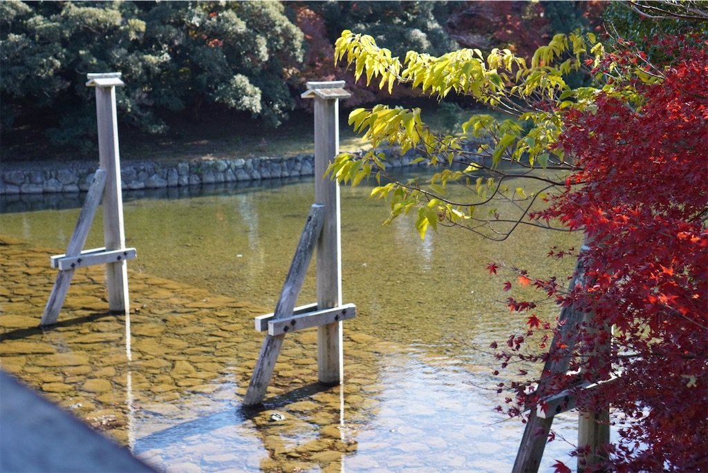 f:id:meeeko607:20240218165522j:image f:id:meeeko607:20240218165522j:image