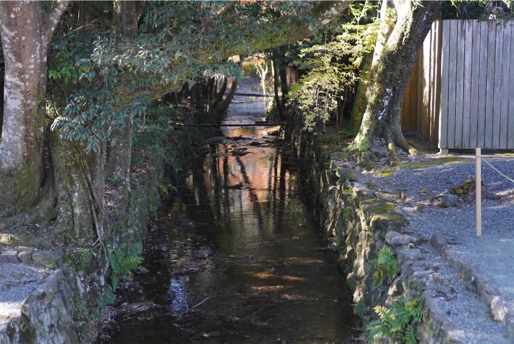 f:id:meeeko607:20240218165526j:image f:id:meeeko607:20240218165526j:image