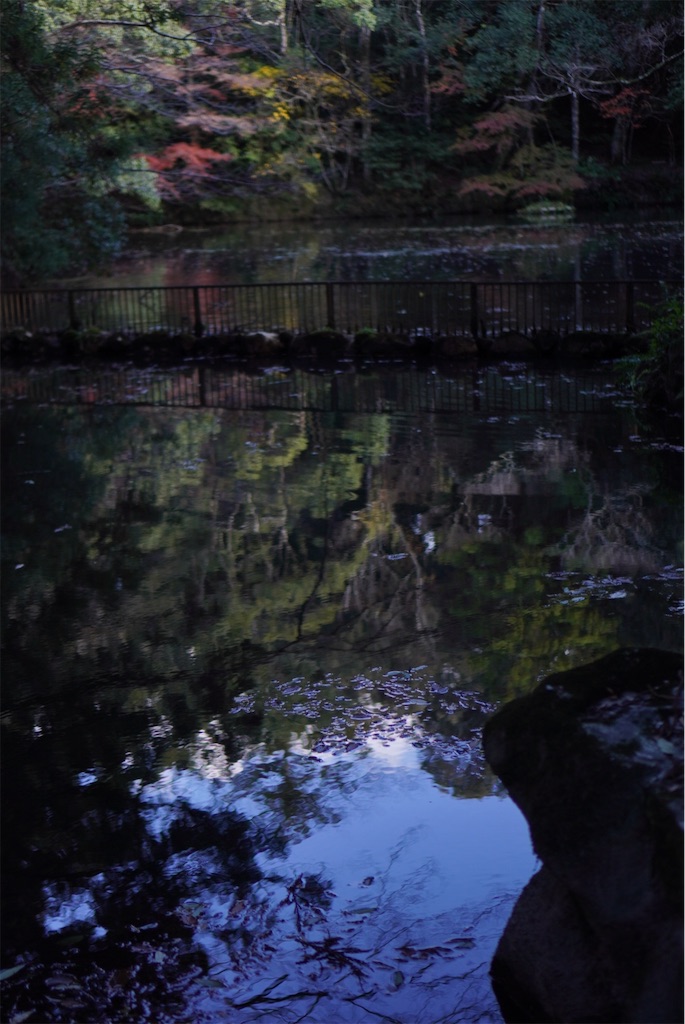 f:id:meeeko607:20240218165530j:image f:id:meeeko607:20240218165530j:image