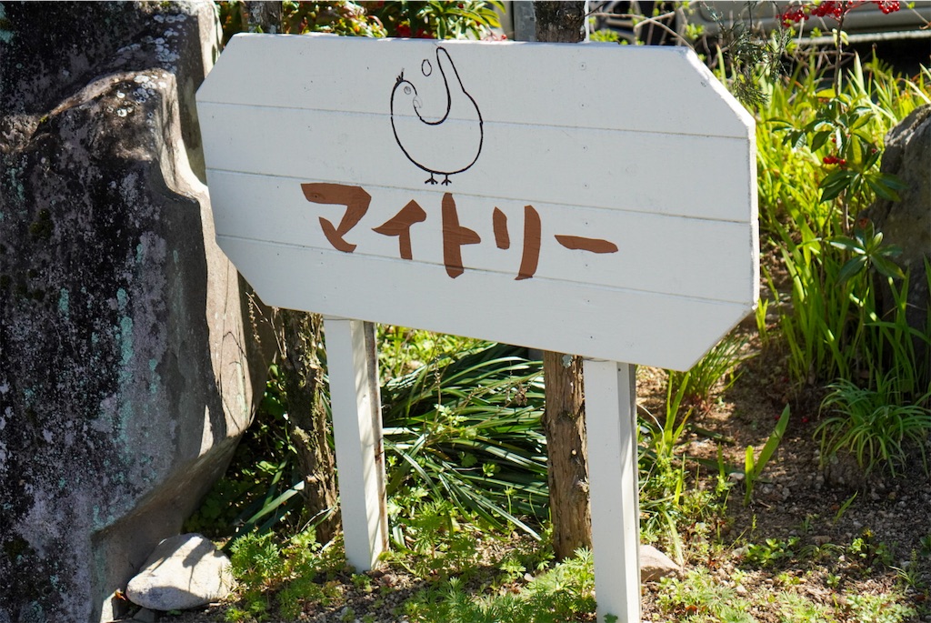 f:id:meeeko607:20240312231240j:image