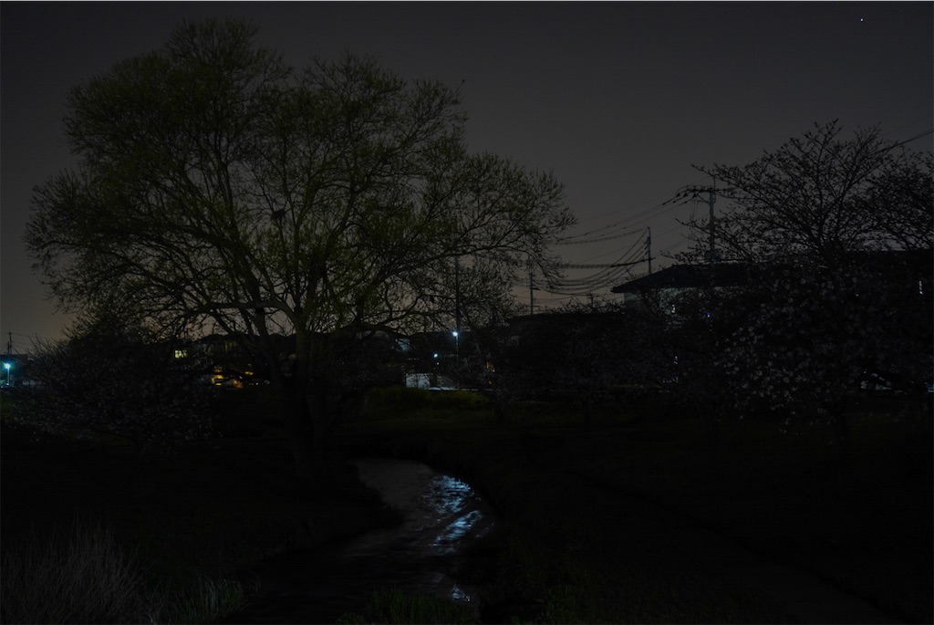 f:id:meeeko607:20240329220422j:image