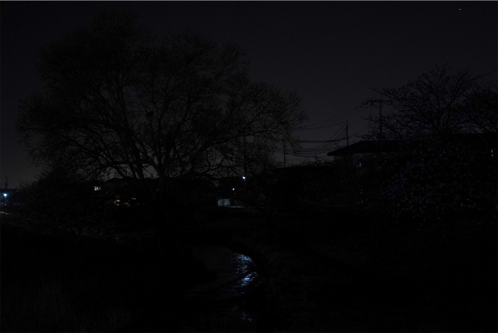 f:id:meeeko607:20240329220429j:image