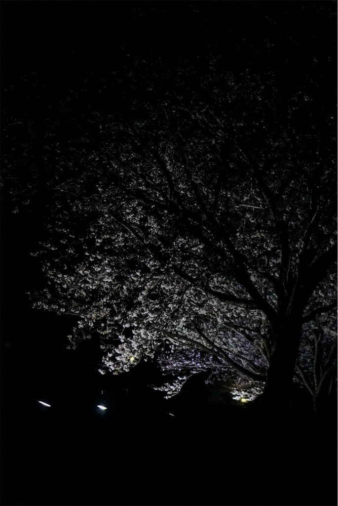f:id:meeeko607:20240329220440j:image