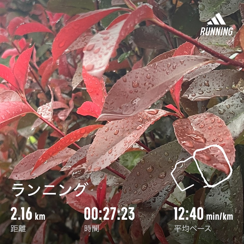 f:id:meeeko607:20240508183918j:image