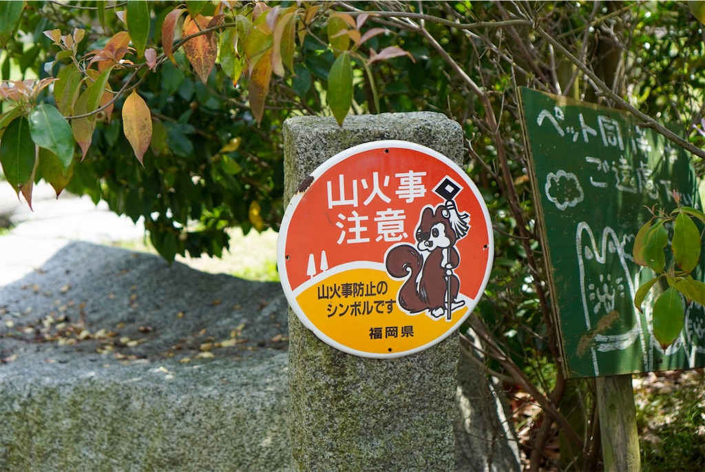 f:id:meeeko607:20240601215537j:image f:id:meeeko607:20240601215537j:image