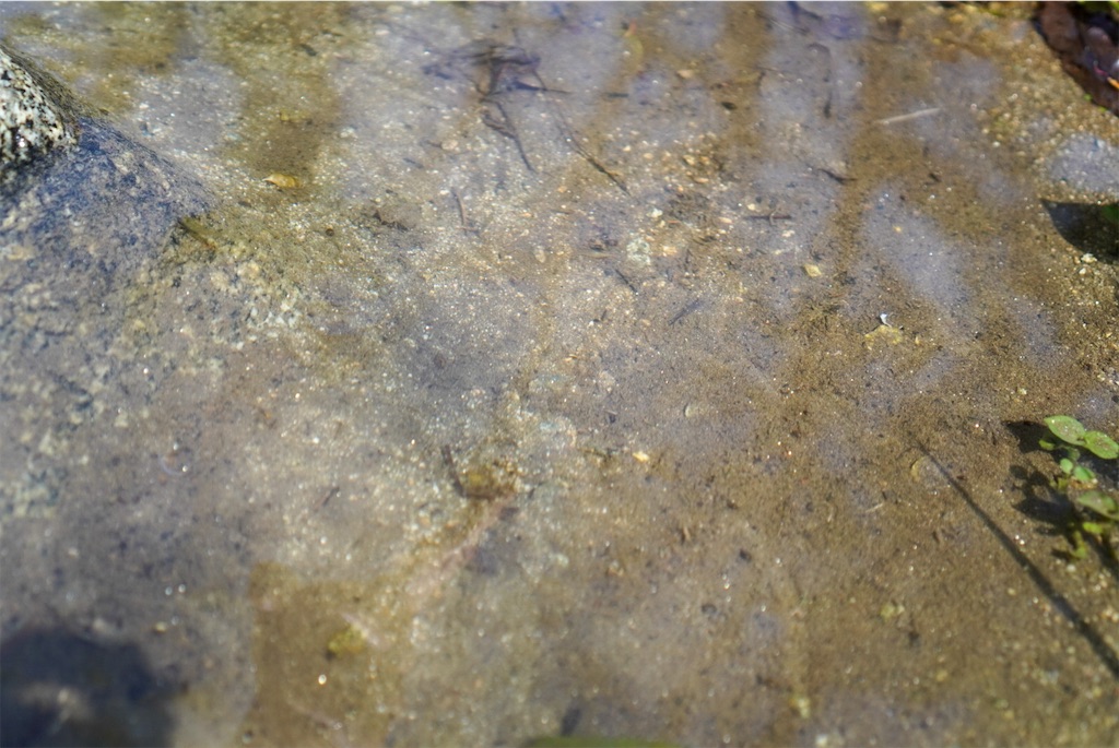 f:id:meeeko607:20240601215546j:image f:id:meeeko607:20240601215546j:image