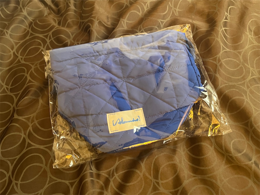 f:id:meeeko607:20240613225823j:image