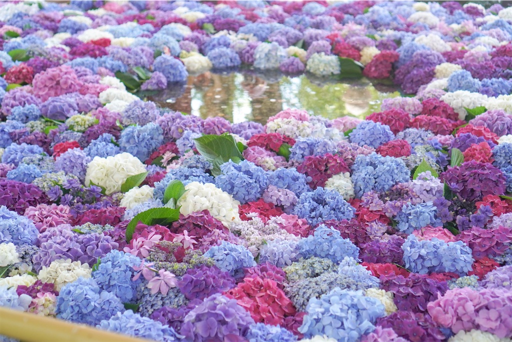 f:id:meeeko607:20240615222628j:image f:id:meeeko607:20240615222628j:image