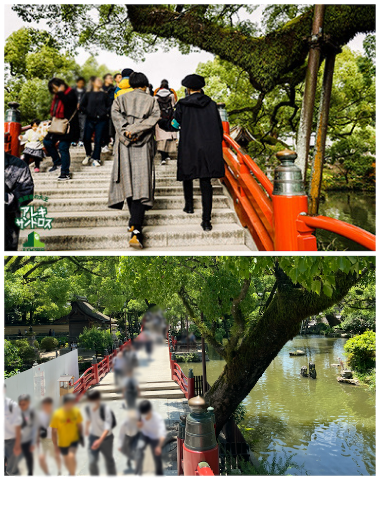 f:id:meeeko607:20240616114749p:image f:id:meeeko607:20240616114749p:image