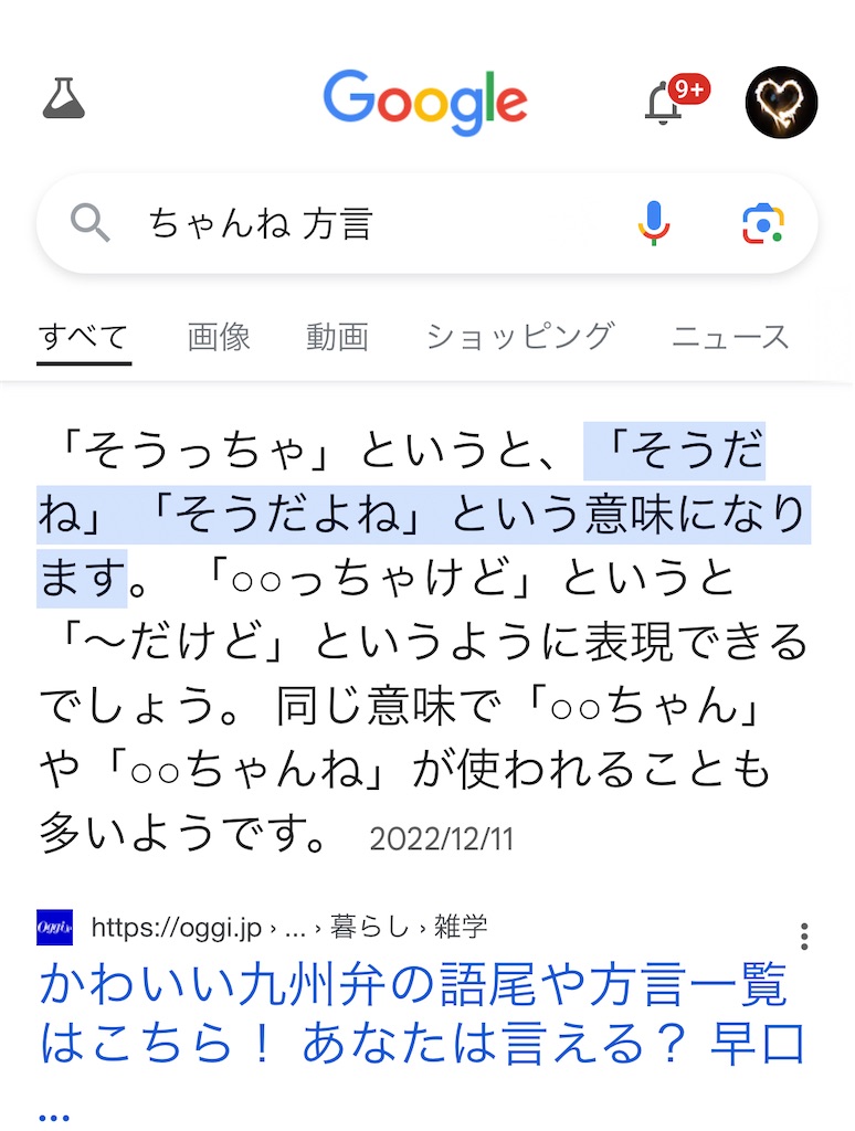 f:id:meeeko607:20240616152440j:image f:id:meeeko607:20240616152440j:image