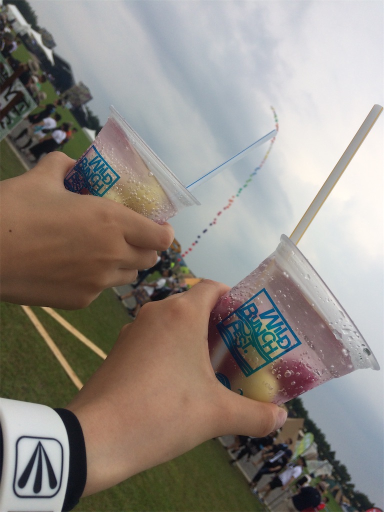 f:id:meeeko607:20240629233932j:image