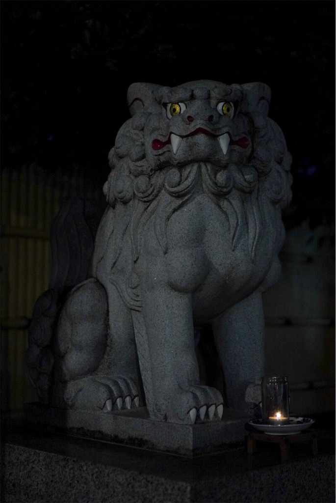 f:id:meeeko607:20240831212705j:image f:id:meeeko607:20240831212705j:image