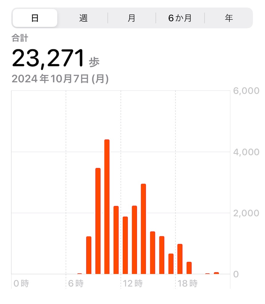 f:id:meeeko607:20241025220016j:image f:id:meeeko607:20241025220016j:image