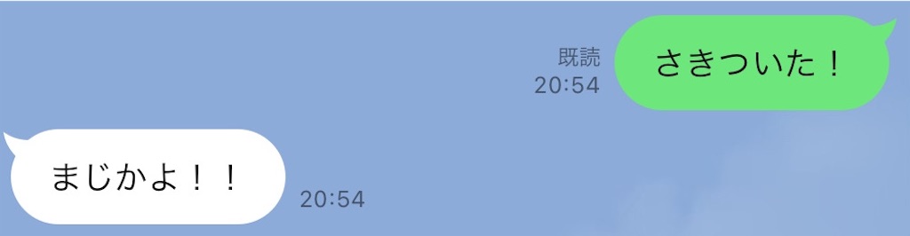 f:id:meeeko607:20241110150421j:image