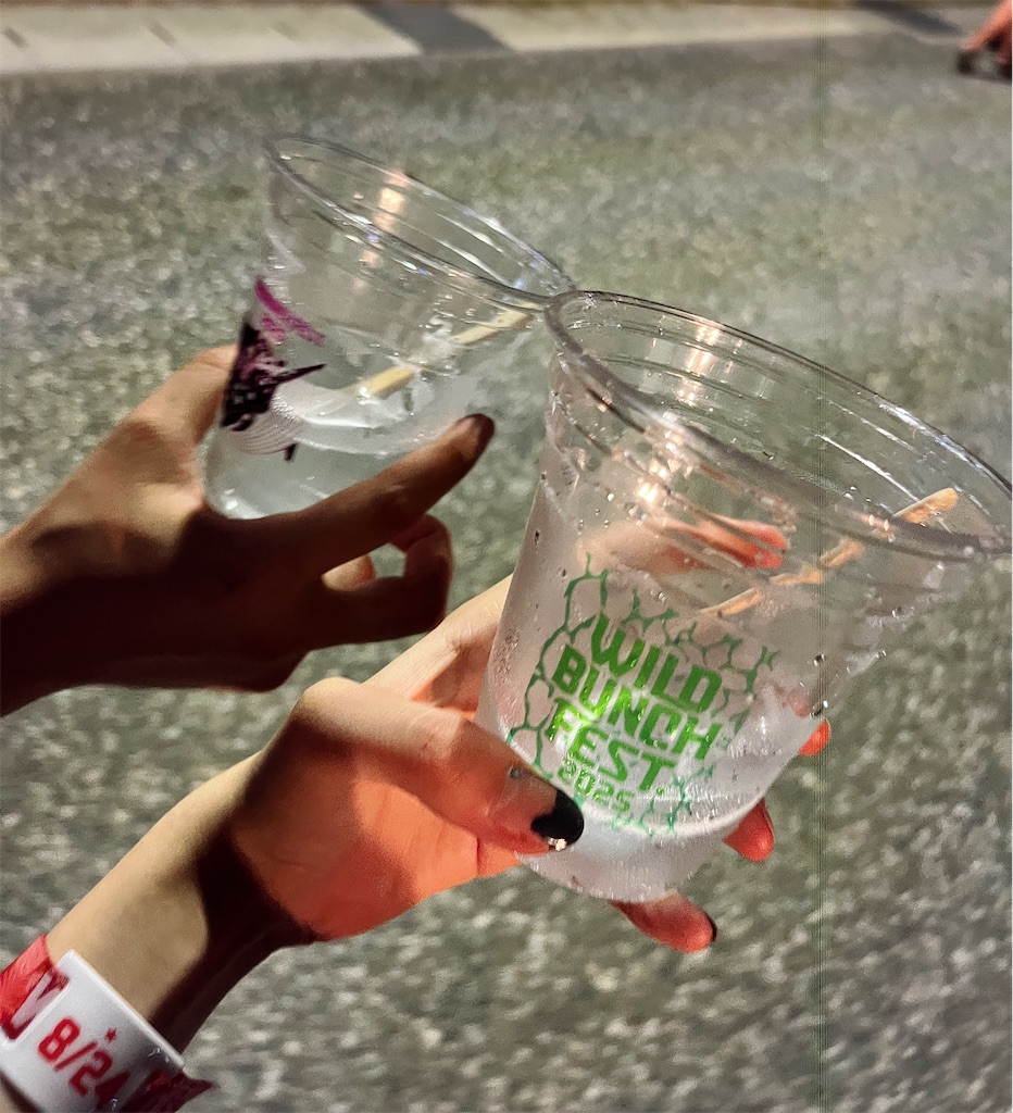 f:id:meeeko607:20250901214654j:image