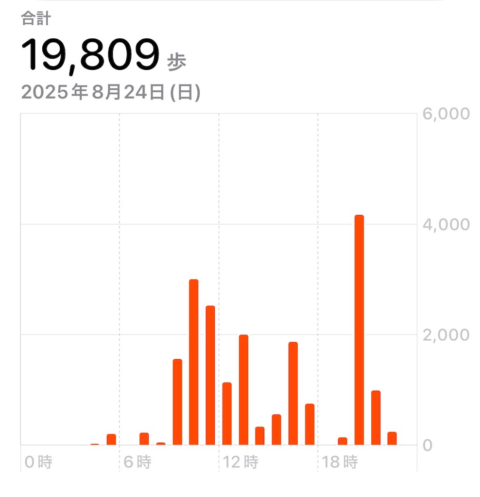 f:id:meeeko607:20251014124350j:image