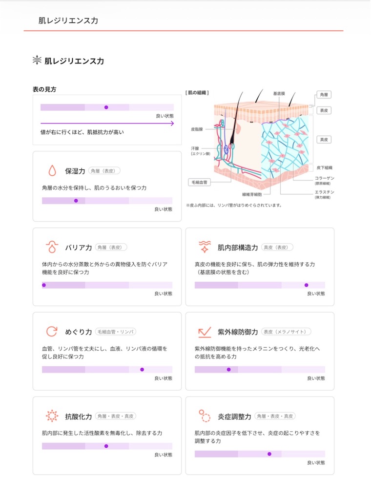 f:id:meeeko607:20260111223830j:image