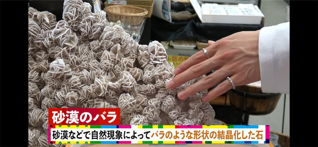 f:id:meeeko607:20260201193147p:image