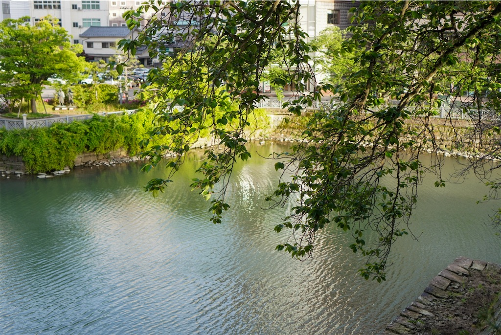 f:id:meeeko607:20260502215830j:image